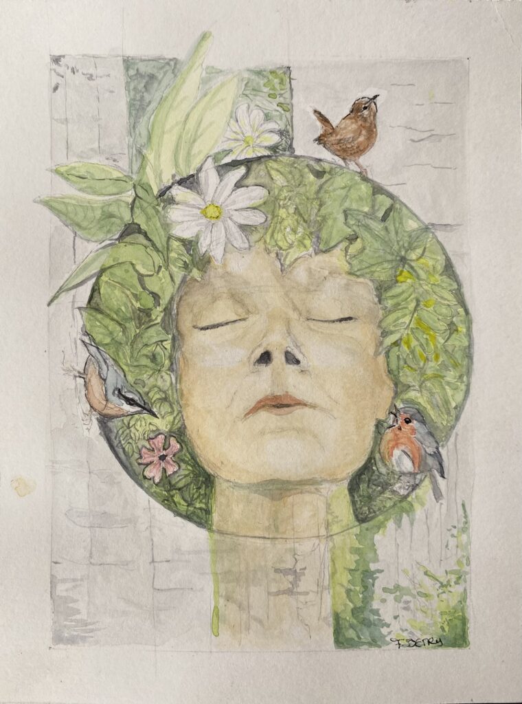 Ma forêt, avant … et maintenant 19,7 x 14,8